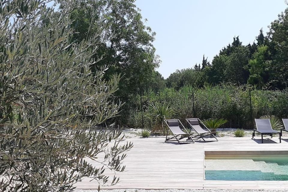 Swimming pool, sunbed