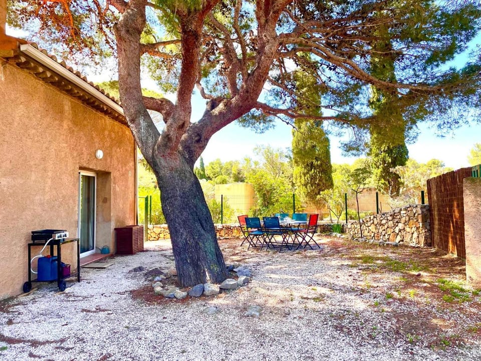 Natural landscape, BBQ facilities, Garden
