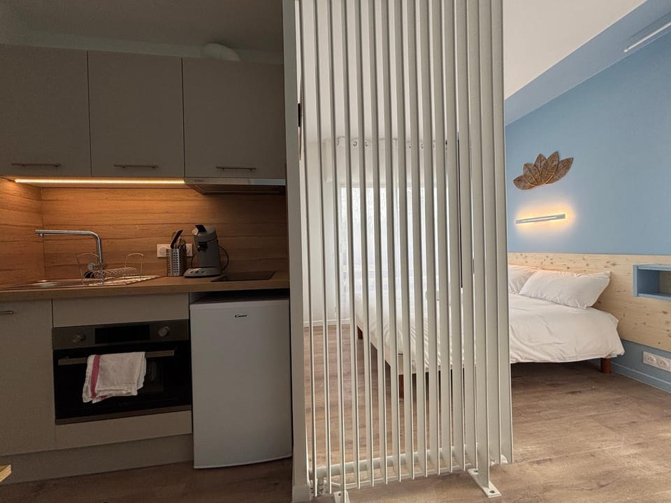 Bed, Kitchen or kitchenette, Photo of the whole room, Bedroom, oven, stove
