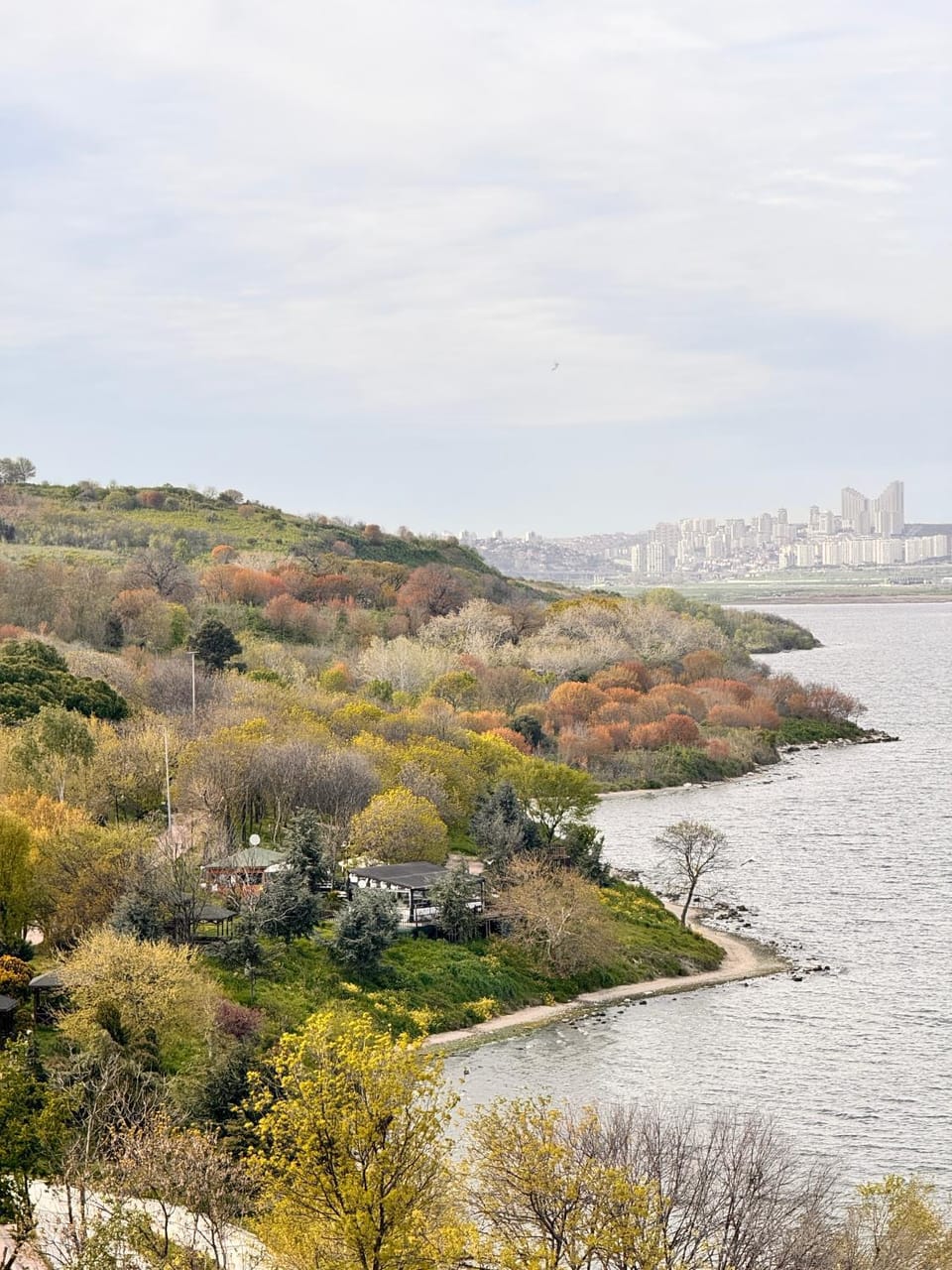 Lake view, River view, Sea view