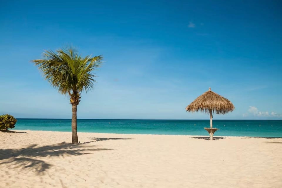 Apartment in paradise on the happy island of ARUBA, Eagle beach Apartment in Savaneta