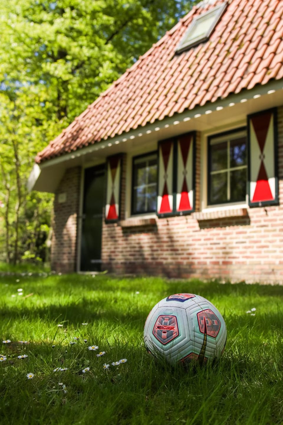 Property building, Spring, Garden, Garden view