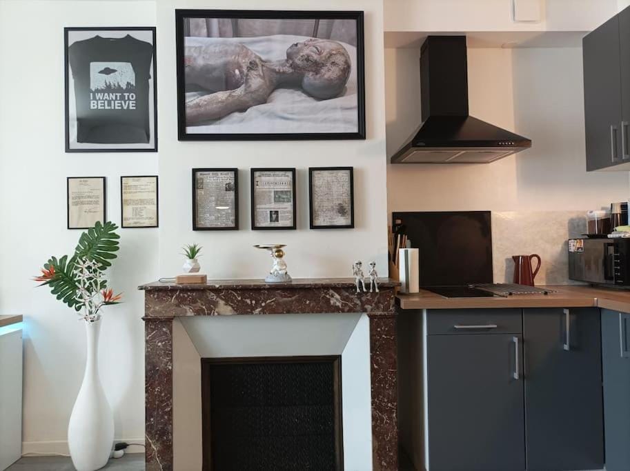 La Zone 51 Apartment in Orléans