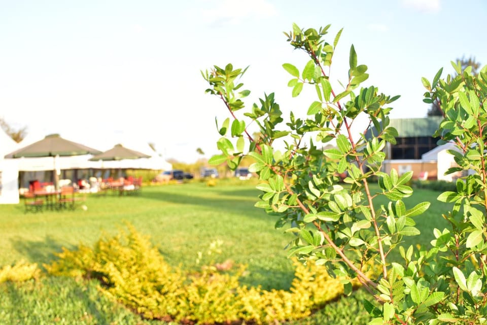 Koma Gardens and Resort Hotel in Kenya