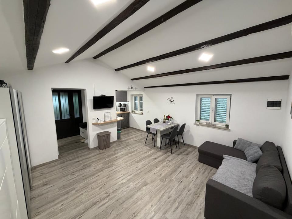 TV and multimedia, Kitchen or kitchenette, Living room, Dining area