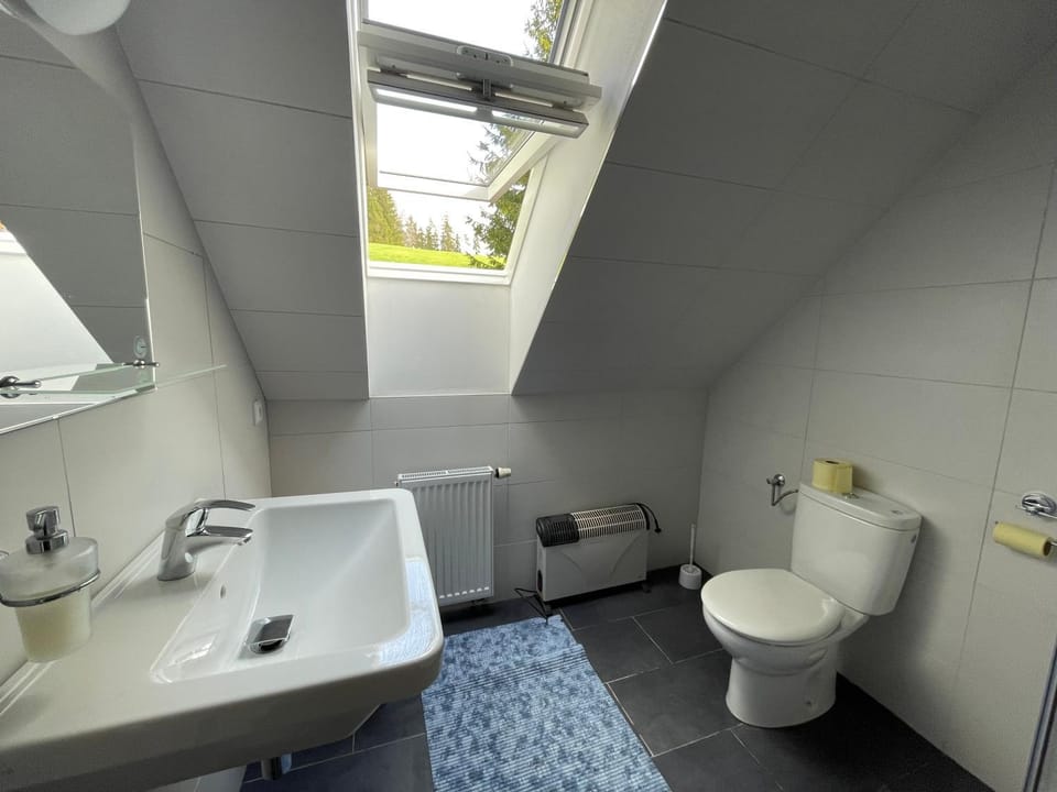 Toilet, Bathroom