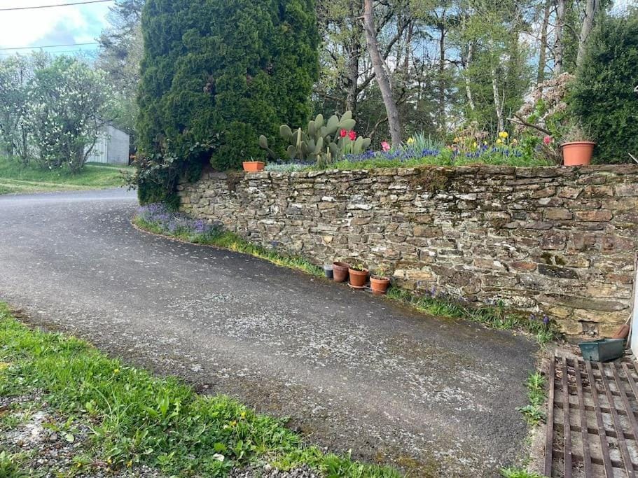 Neighbourhood, Natural landscape, Garden, Garden view