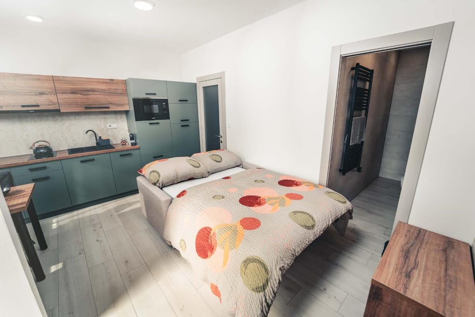 Bed, Kitchen or kitchenette, Living room