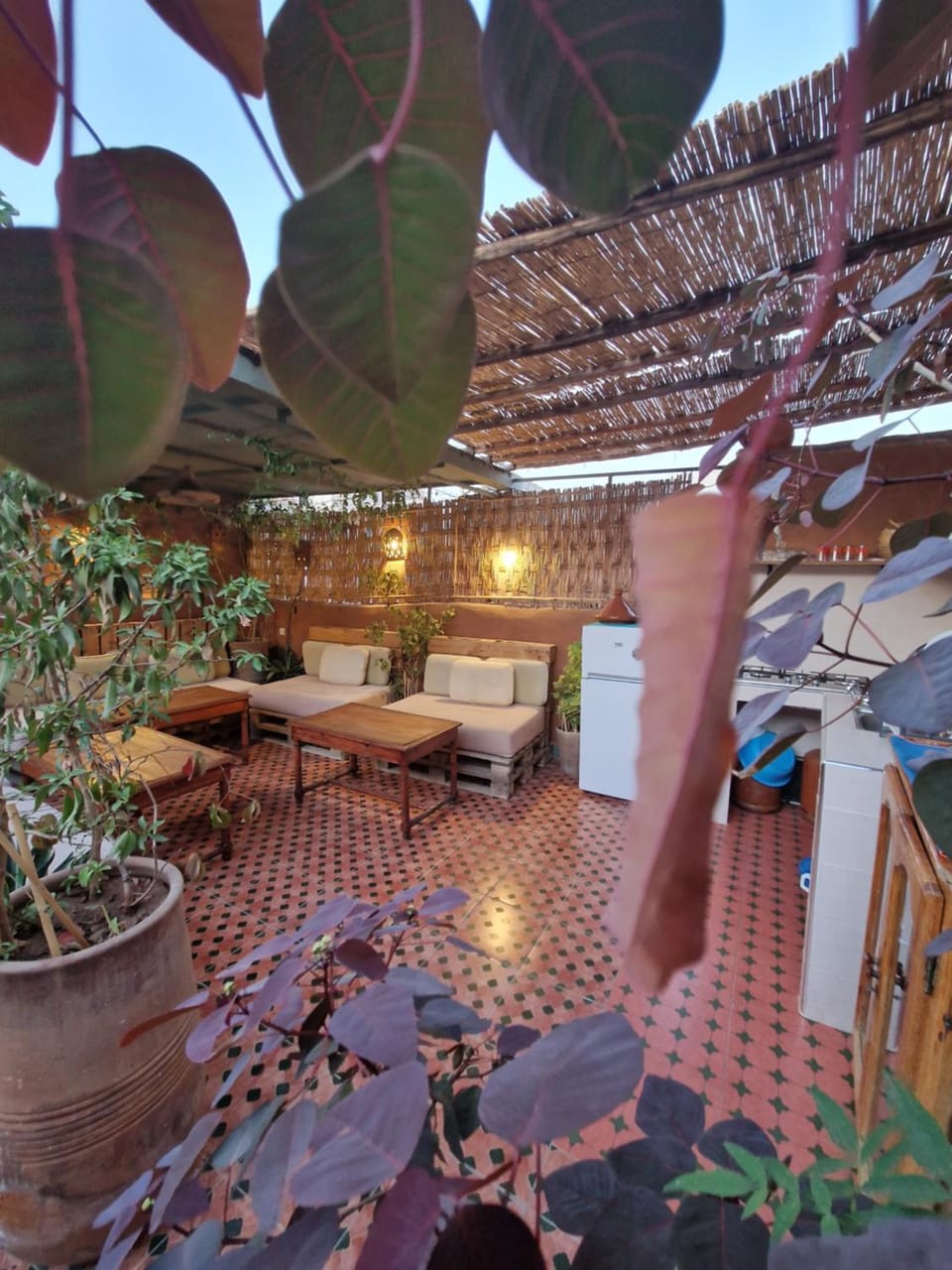 Medina Oasis Hostel Hostel in Marrakesh