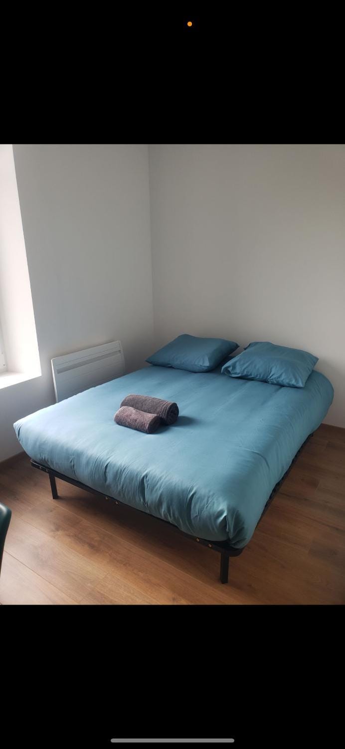 Studio avec WC et SDB privés dans Grande maison à côté du campus Artem - Thermal et Parc des Expos Vacation rental in Nancy