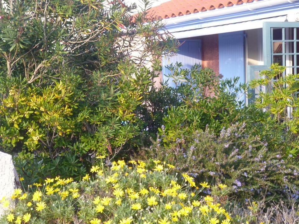 Les Bastides du Cap House in Le Barcarès