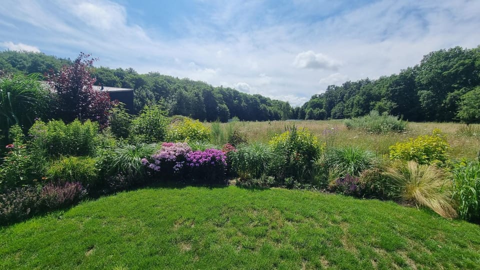 Spring, Day, Natural landscape, Garden, View (from property/room), Garden view