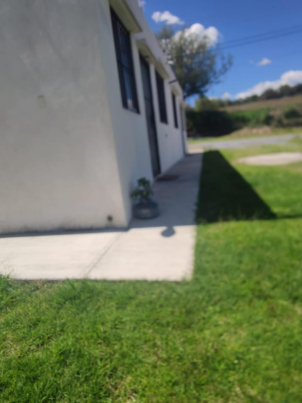 Garden view
