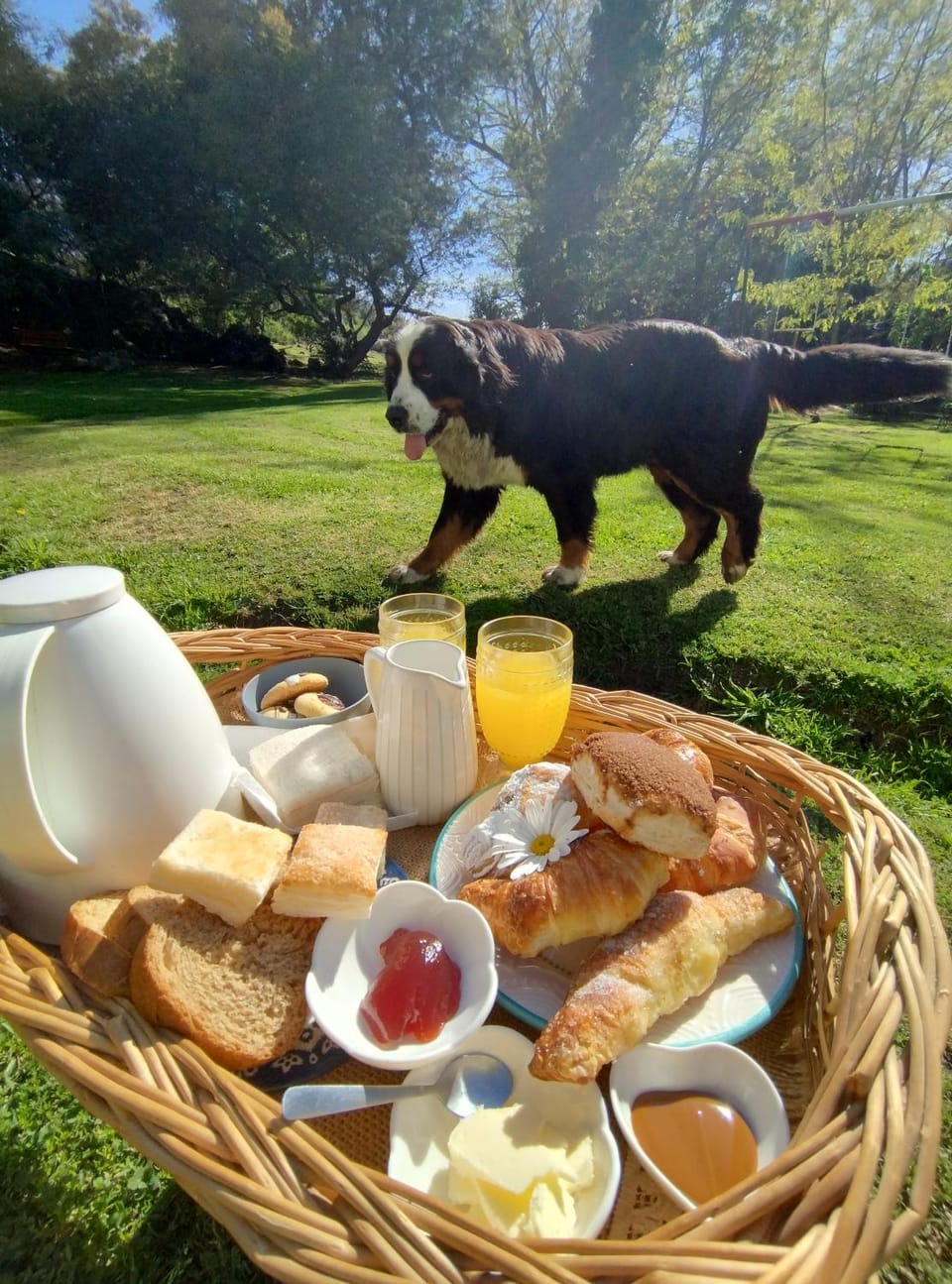 Breakfast