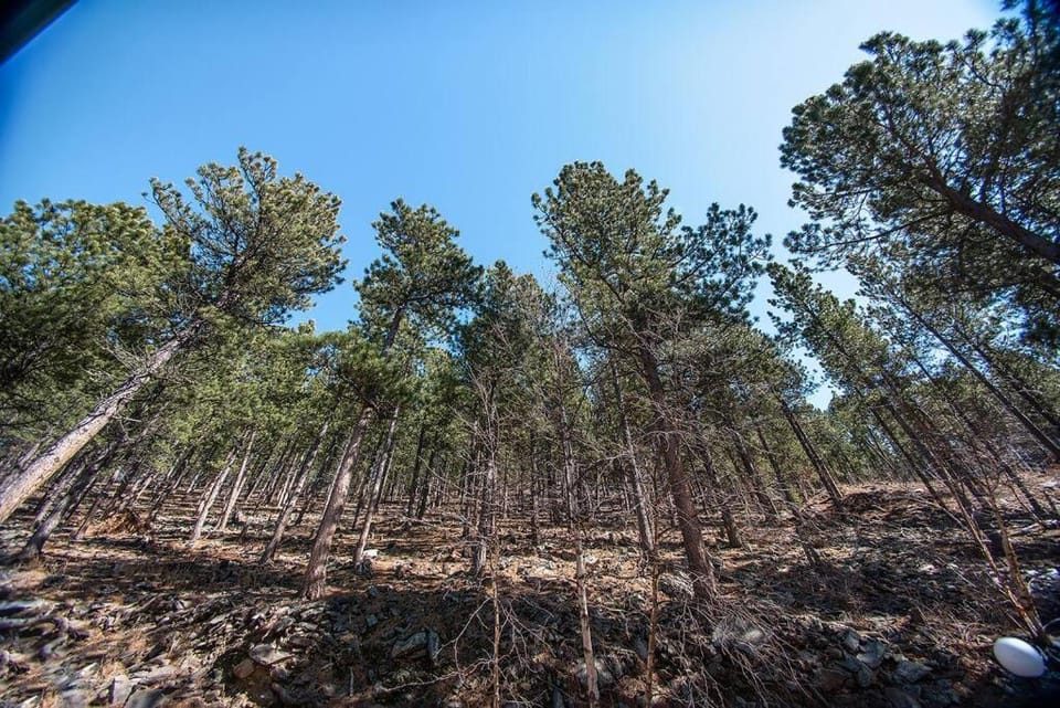 Day, Natural landscape