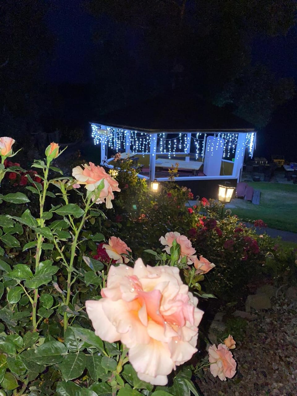 Night, Garden, Inner courtyard view