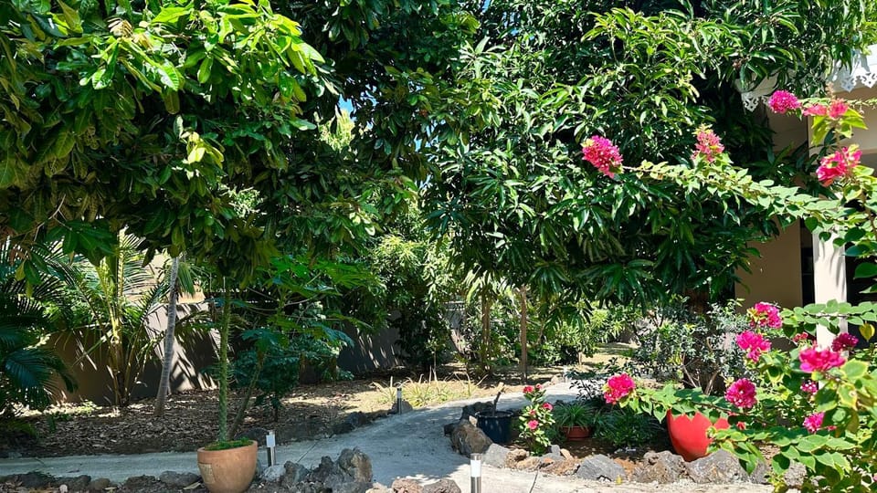 Natural landscape, Garden, Garden view