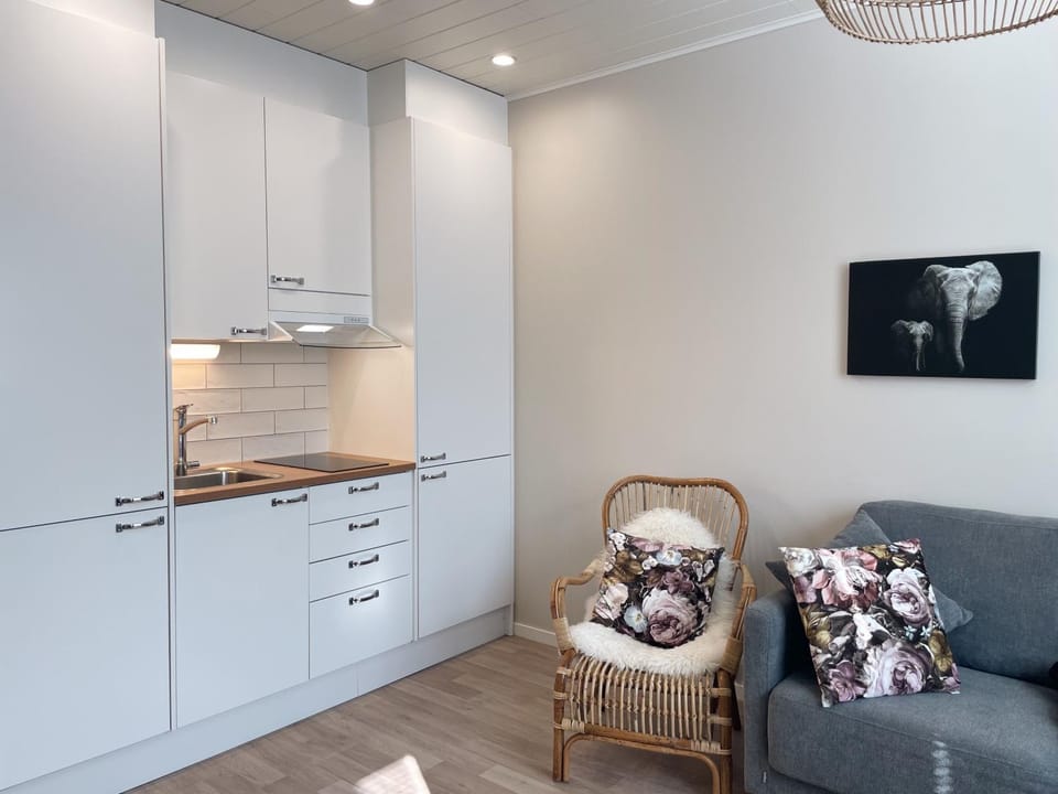 Männikkö Apartment in Finland
