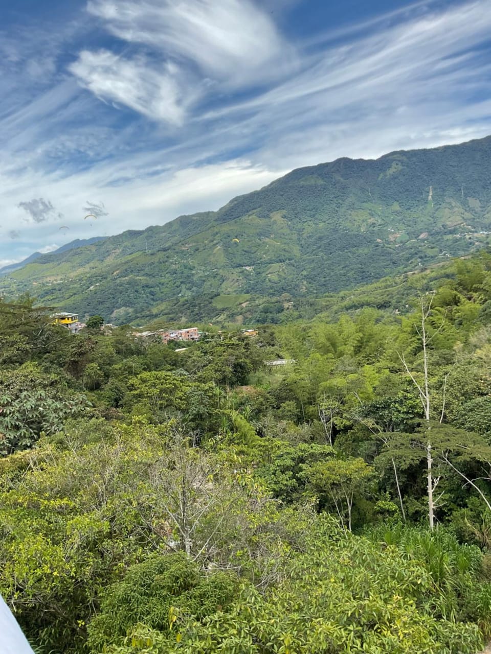 Mountain view