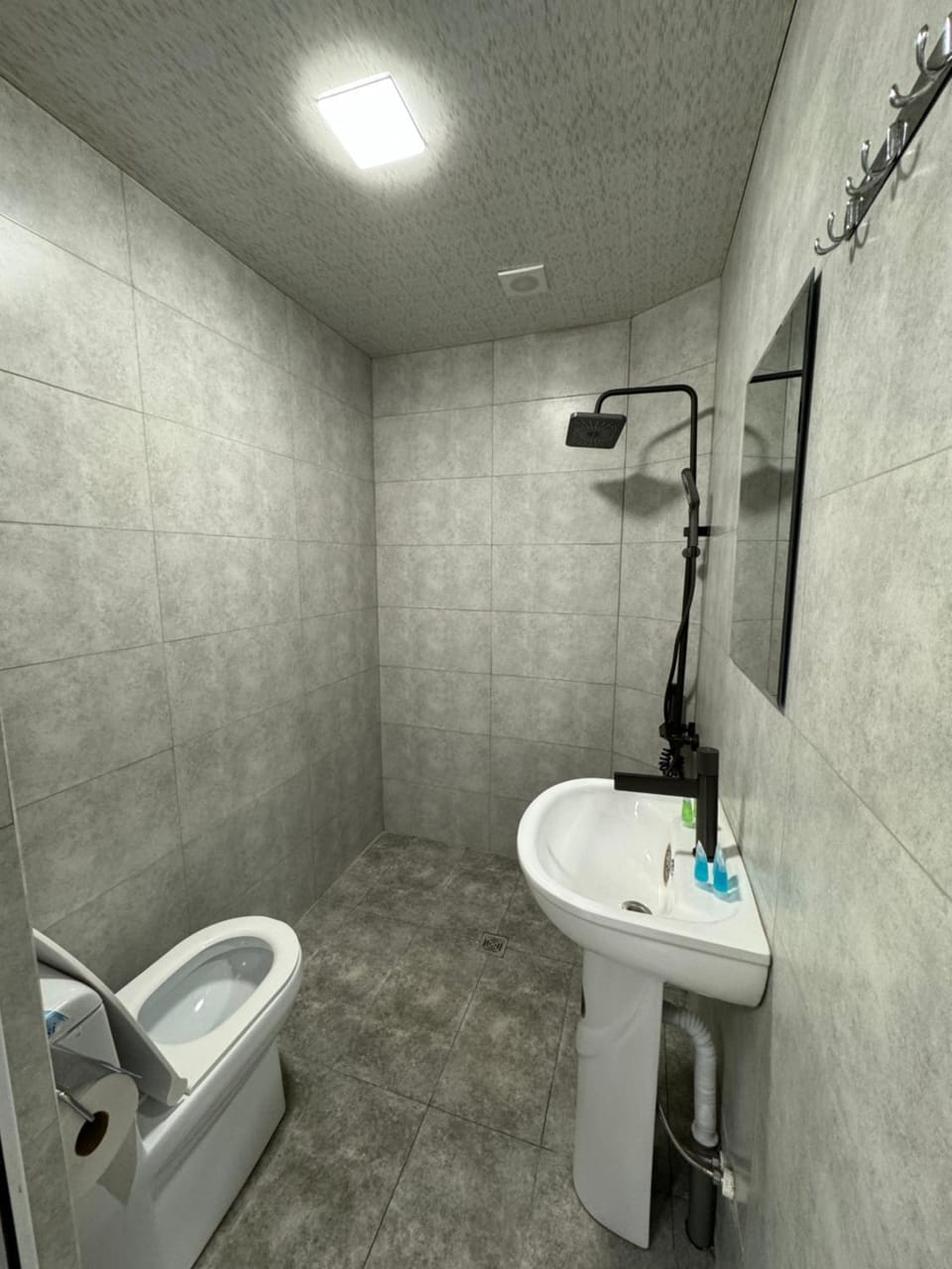 Shower, Toilet