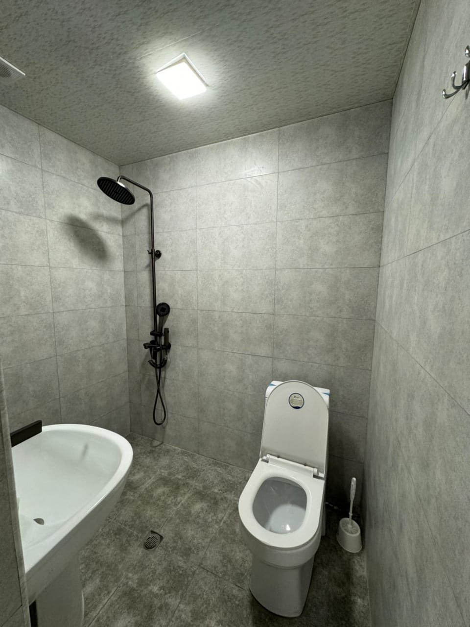 Shower, Toilet