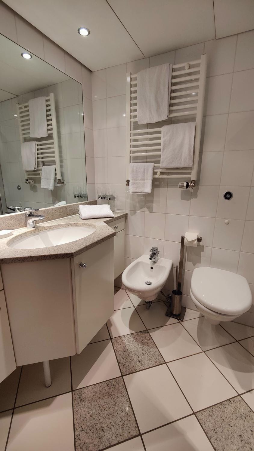 Toilet, Bathroom, bidet