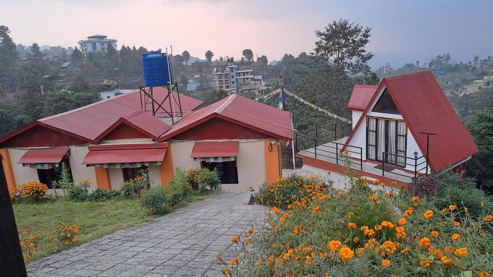 Garden view