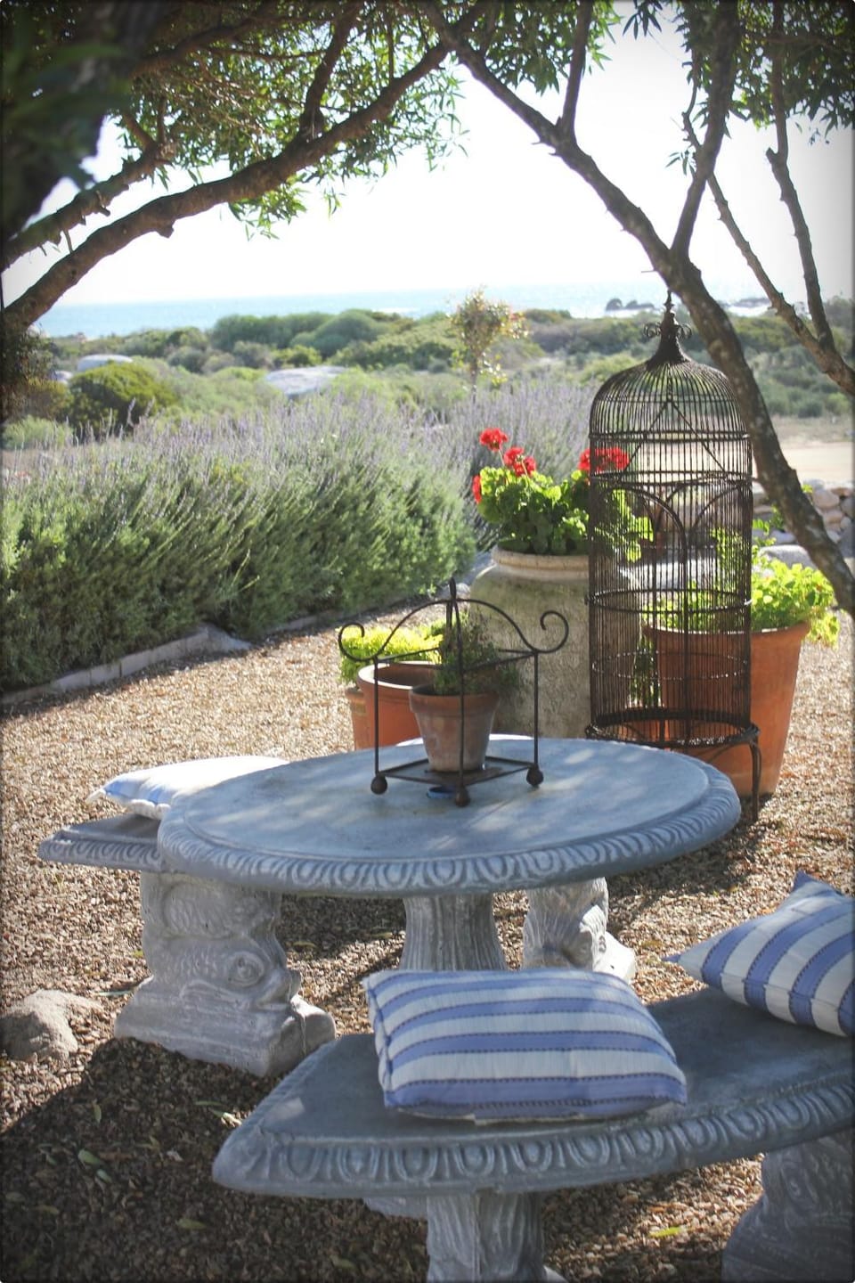 Patio, Day
