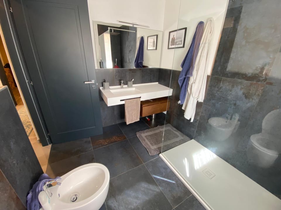 Shower, Toilet, Bathroom, Bath, towels