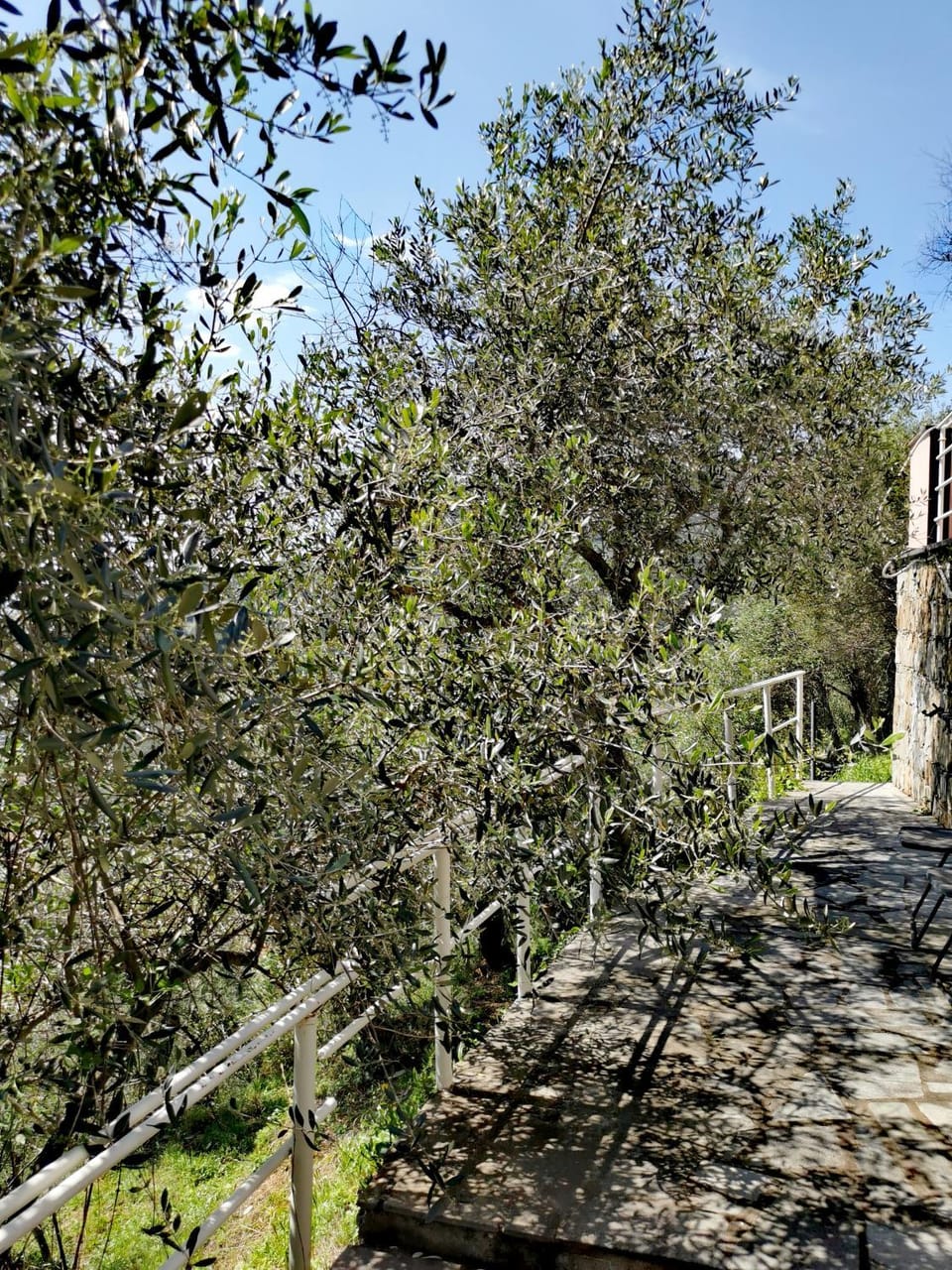 Casun du Menegottu House in Liguria