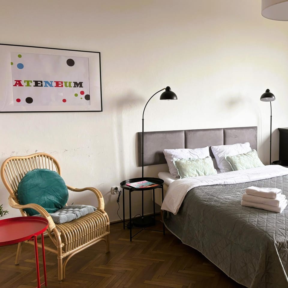 Bed, Living room, Photo of the whole room, Seating area, Bedroom
