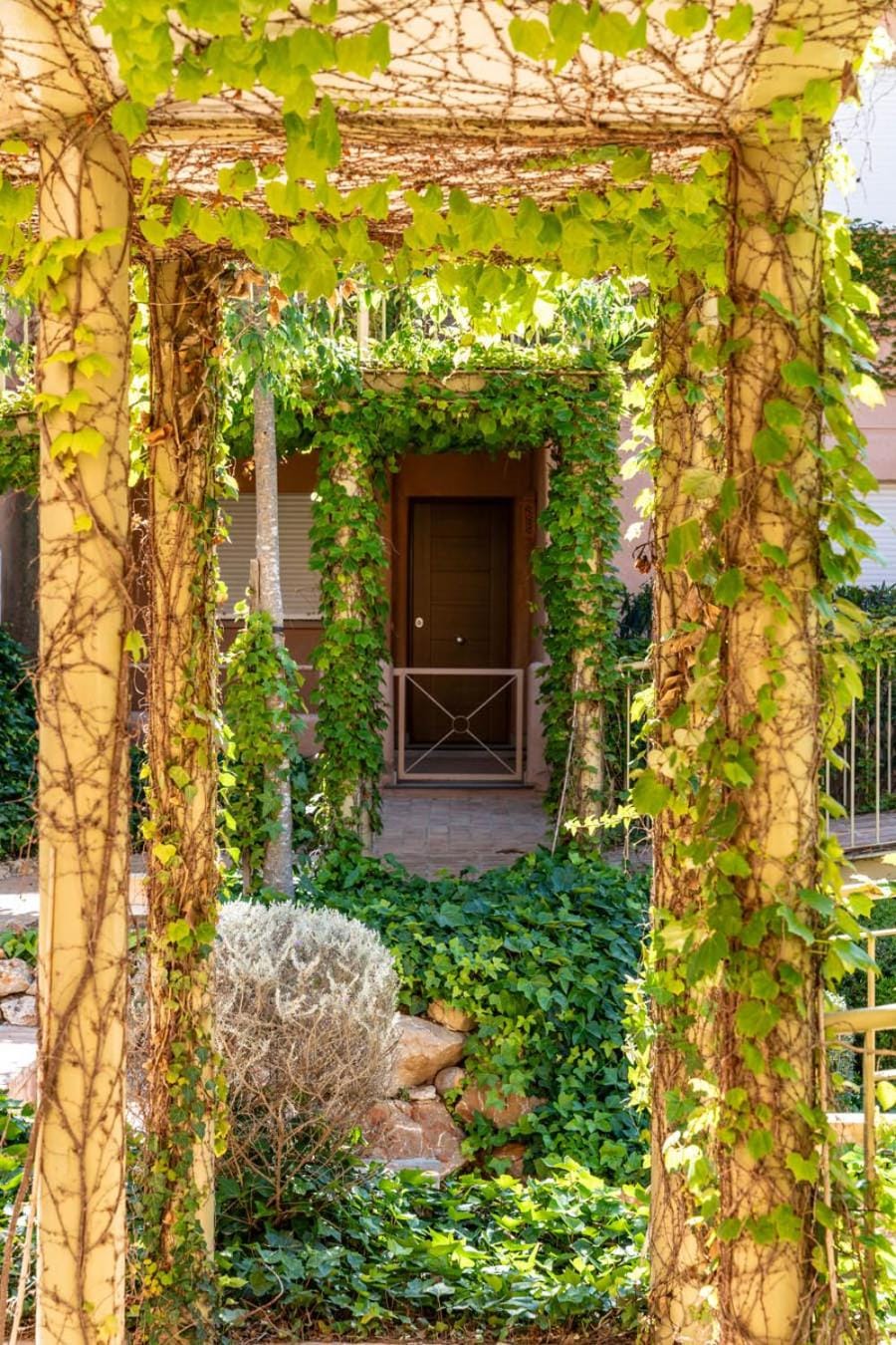 Garden view