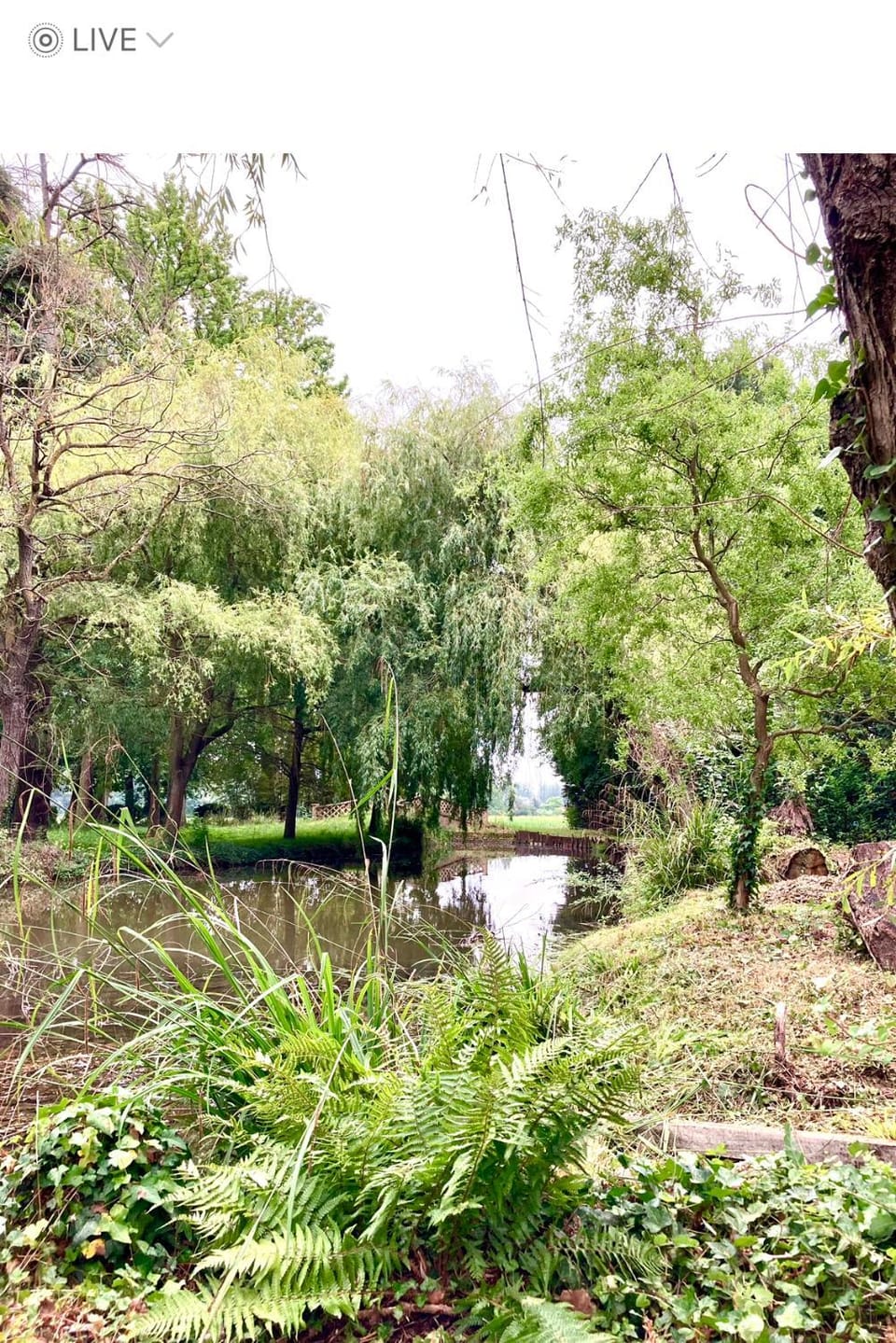 Garden, Garden view