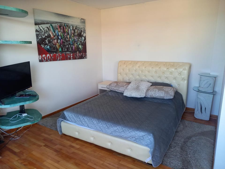 Top Studio Apartment in Belgrade