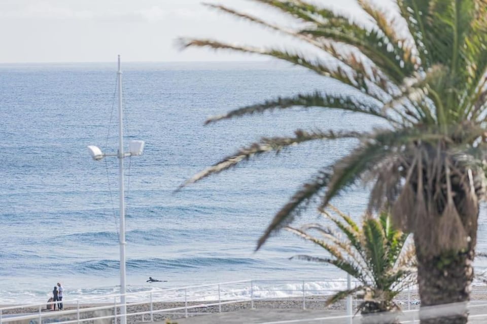 Casa do Helio - Beach House House in Azores District
