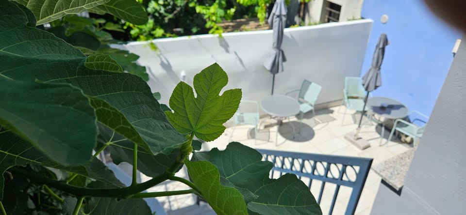 Patio, Day, View (from property/room)