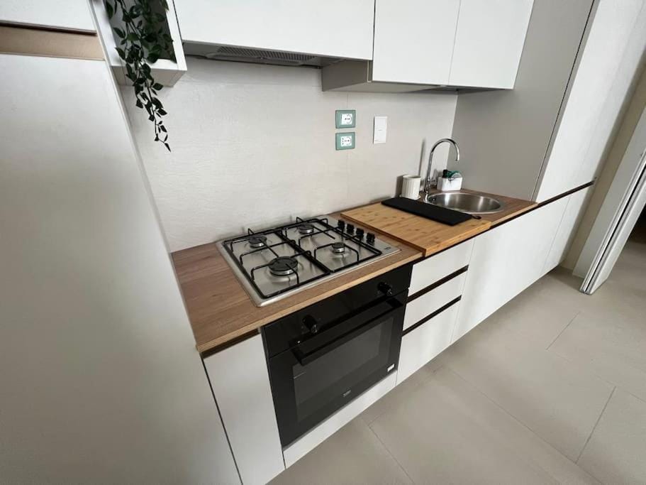 HomingPisa - Gemini OneTwo - NEW (900 Reviews) Apartment in Pisa