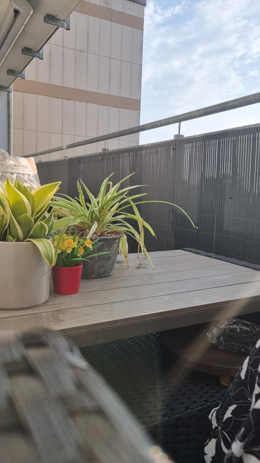 Day, View (from property/room), Balcony/Terrace