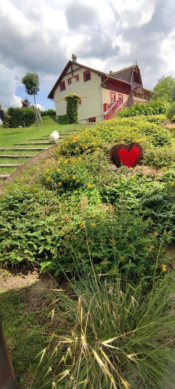 Property building, Garden