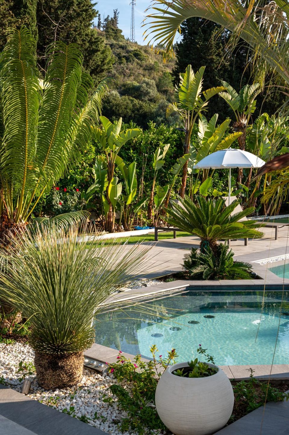 Garden, Swimming pool
