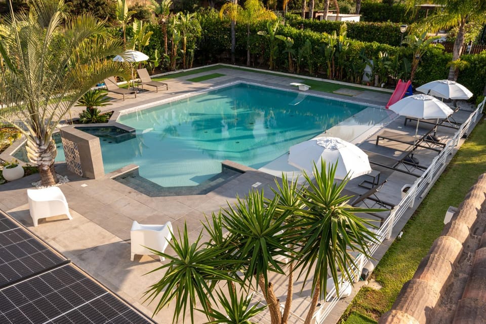 Garden, Garden view, Pool view, Swimming pool, sunbed