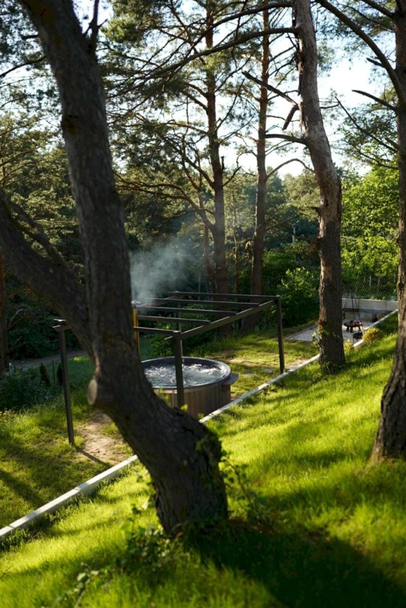 Spring, Day, Natural landscape, Garden view