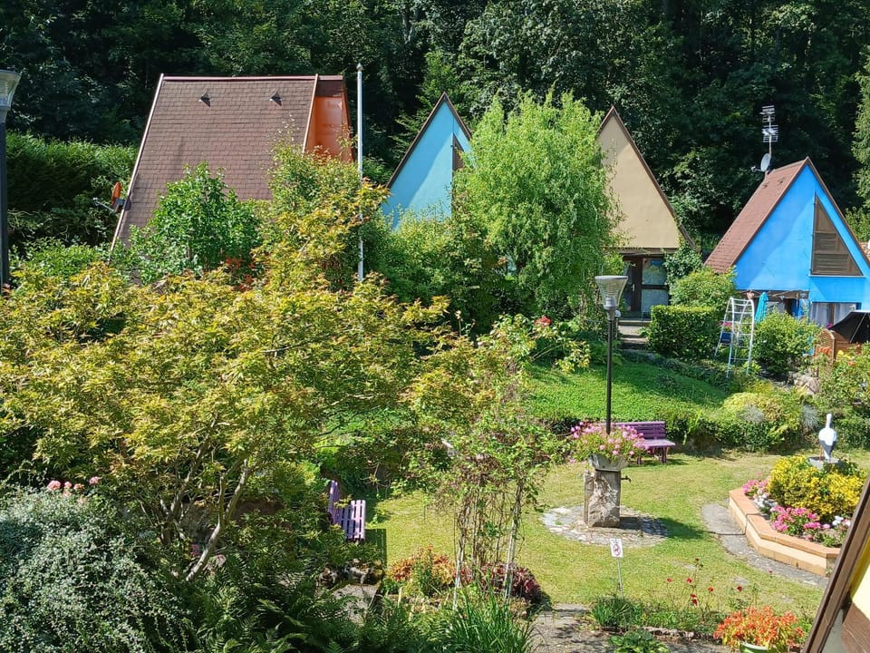 Natural landscape, Garden view