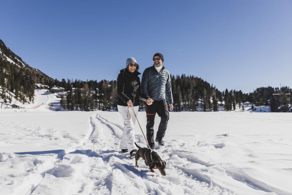 Day, Natural landscape, Winter, Skiing