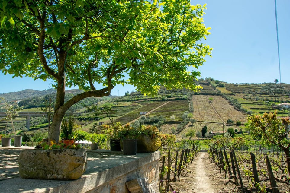 Spring, Day, Garden, Garden view, Mountain view
