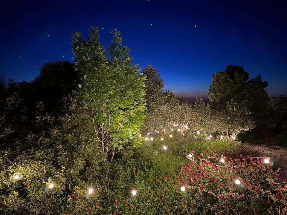 Night, Natural landscape, Garden view