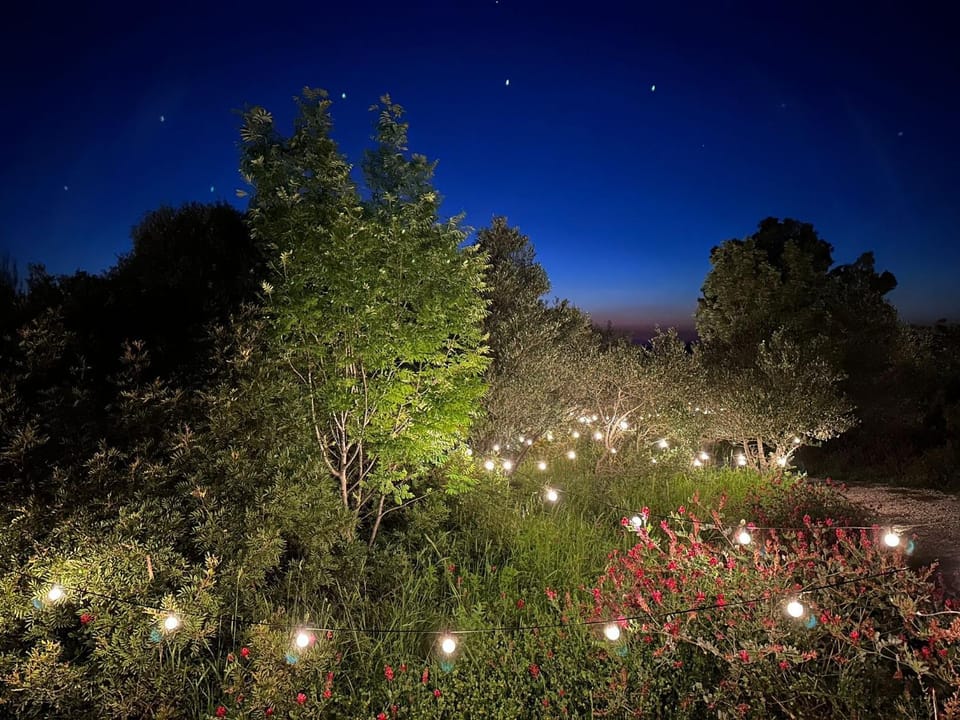 Night, Natural landscape, Garden, Garden view