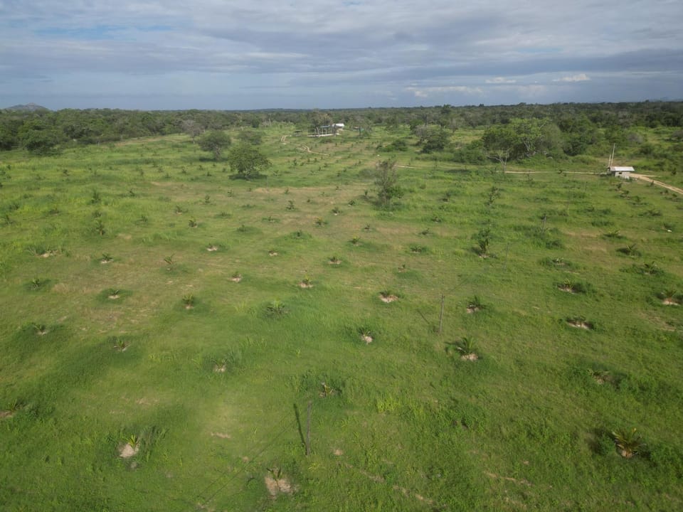 Natural landscape