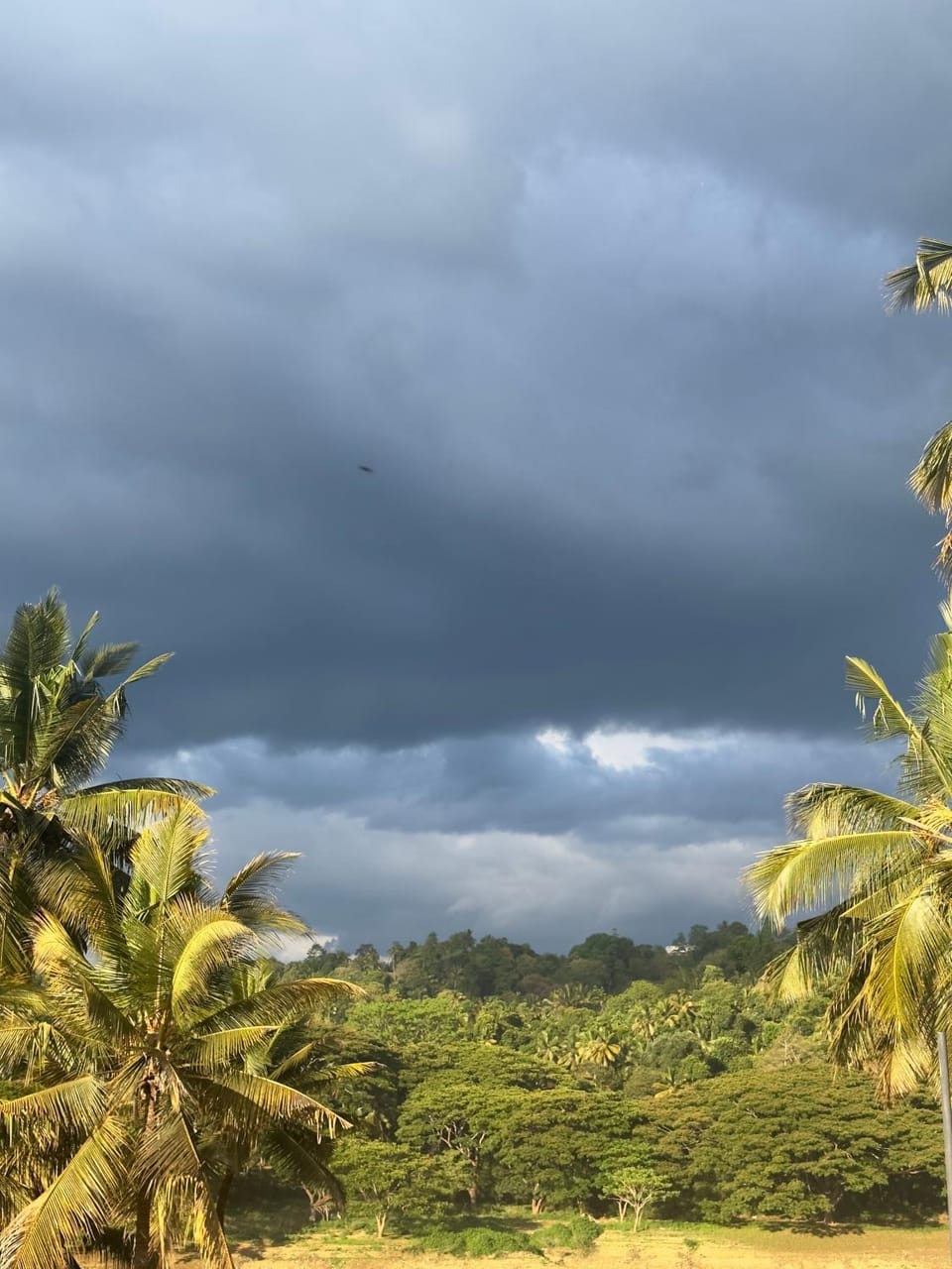 Day, Natural landscape