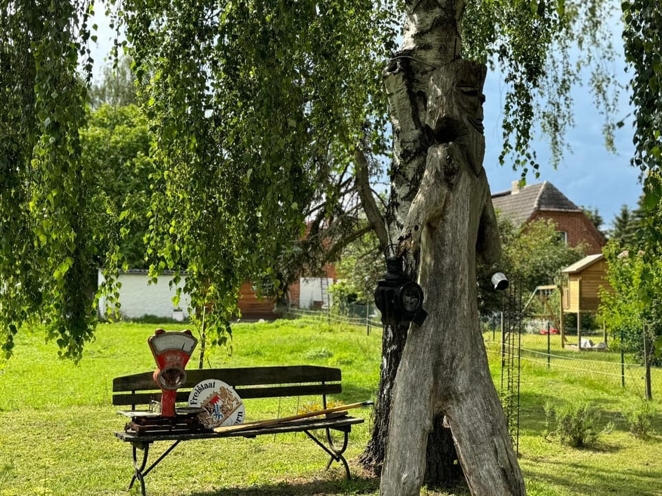 Ferienhaus Barlin 2 House in Mecklenburgische Seenplatte